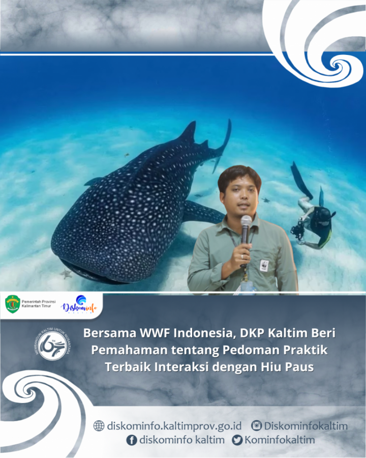 Bersama WWF Indonesia, DKP Kaltim Beri Pemahaman tentang Pedoman Praktik Terbaik Interaksi dengan Hiu Paus