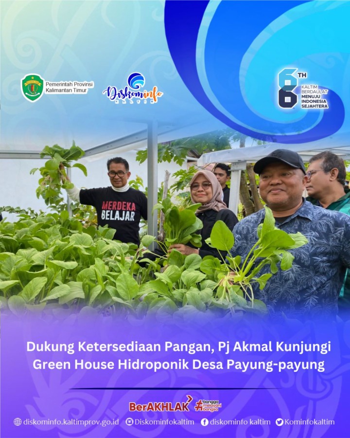 Dukung Ketersediaan Pangan, Pj Akmal Kunjungi Green House Hidroponik Desa Payung-payung