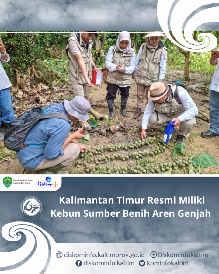 Kalimantan Timur Resmi Miliki Kebun Sumber Benih Aren Genjah