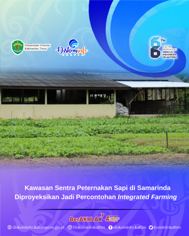 Kawasan Sentra Peternakan Sapi di Samarinda Diproyeksikan Jadi Percontohan Integrated Farming