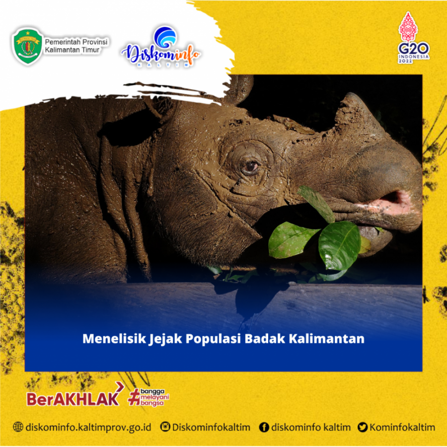 Menelisik Jejak Populasi Badak Kalimantan 