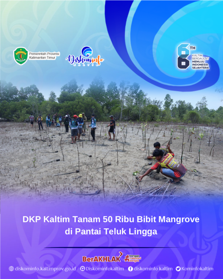 DKP Kaltim Tanam 50 Ribu Bibit Mangrove di Pantai Teluk Lingga